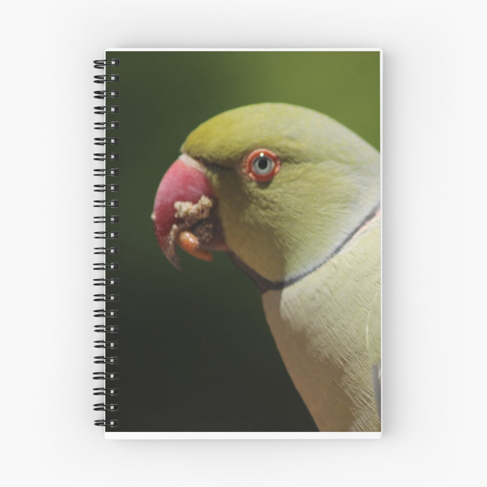 Item preview, Spiral Notebook designed and sold by RREID84.