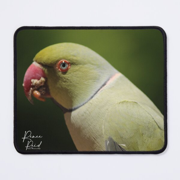 Item preview, Green Parrot designed and sold by RREID84.