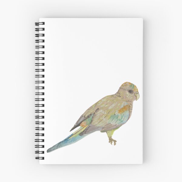 Item preview, Red-Rumped Parrot designed and sold by Junipertrees.