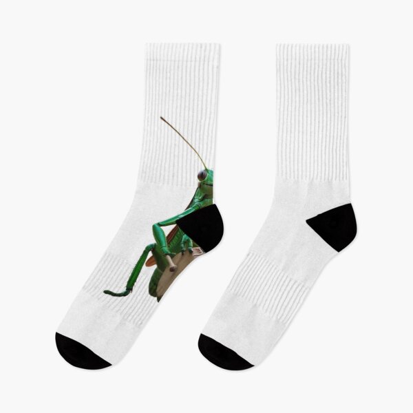 Item preview, Funny Grasshopper Drummer Musician Art designed and sold by TFM-Fashion.