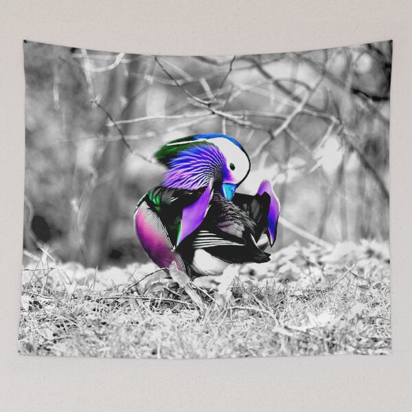 Item preview, Mandarin Duck – Harmonious Colors / Swiss Artwork Photography designed and sold by Raphael Wolf.