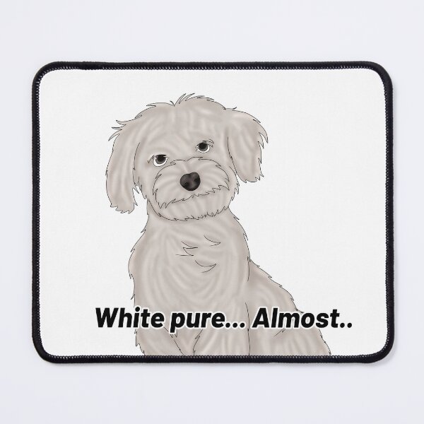 Item preview, Maltese Semirealistic – “Pure White… Almost” - cute Semirealistic dog design designed and sold by Crack-in-Colors.