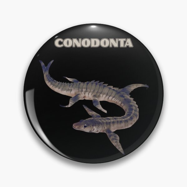 Item preview, CONODONTA designed and sold by mirciashop.