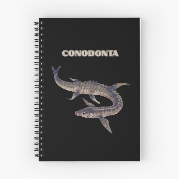 Item preview, CONODONTA designed and sold by mirciashop.