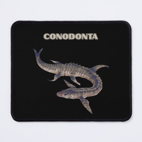 Item preview, CONODONTA designed and sold by mirciashop.