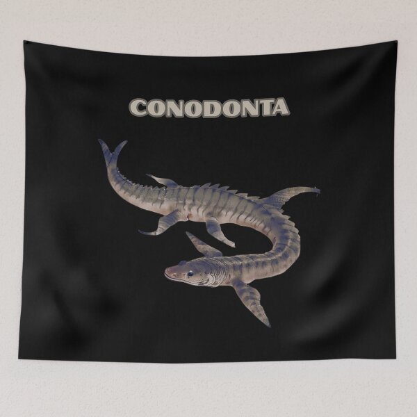 Item preview, CONODONTA designed and sold by mirciashop.