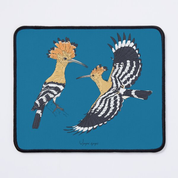 Item preview, Common Hoopoe designed and sold by Luzeilustración.