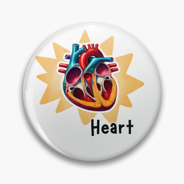 Item preview, Human heart Anatomy Illustration designed and sold by MuseGlowStudio.