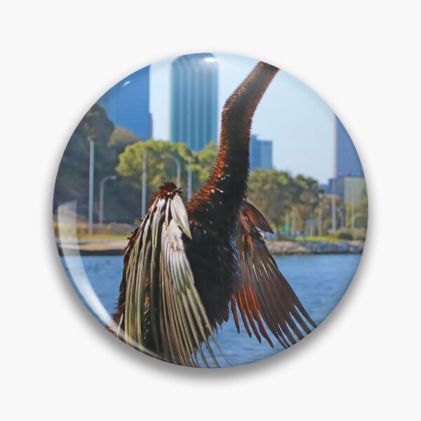 Item preview, Australasian Darter - Perth Western Australia 2025 - 1 designed and sold by Colin  Williams Photography.