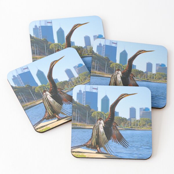 Item preview, Australasian Darter - Perth Western Australia 2025 - 1 designed and sold by Colin  Williams Photography.
