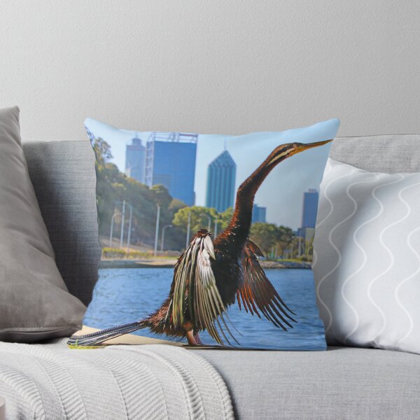 Item preview, Australasian Darter - Perth Western Australia 2025 - 1 designed and sold by Colin  Williams Photography.