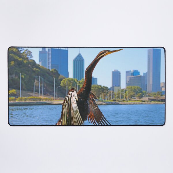 Item preview, Australasian Darter - Perth Western Australia 2025 - 1 designed and sold by Colin  Williams Photography.