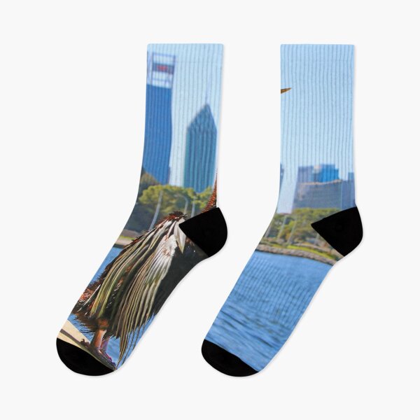 Item preview, Australasian Darter - Perth Western Australia 2025 - 1 designed and sold by Colin  Williams Photography.
