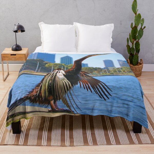 Item preview, Australasian Darter - Perth Western Australia 2025 - 1 designed and sold by Colin  Williams Photography.