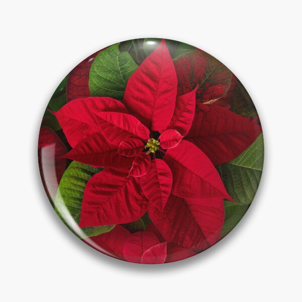 Item preview, Red poinsettia seamless pattern. Festive Christmas floral design designed and sold by Algaretum.