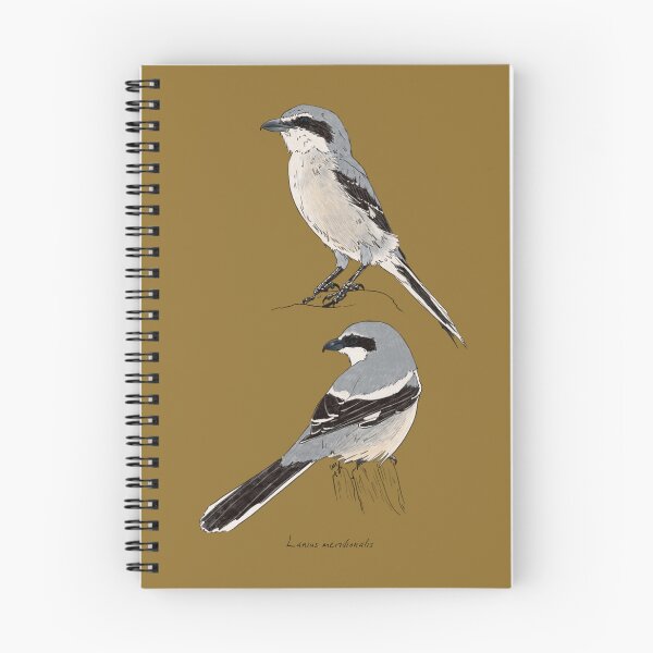 Item preview, Iberian Gray Shrike designed and sold by Luzeilustración.