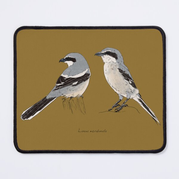 Item preview, Iberian Gray Shrike designed and sold by Luzeilustración.