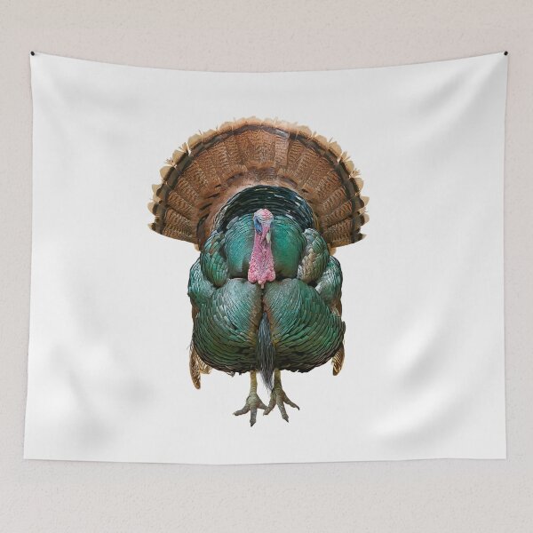Item preview, WIld Tom Turkey painting isolated on white background designed and sold by svetlanna.