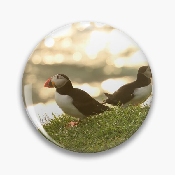 Item preview, Atlantic Puffin, Puffins in Iceland. Original Photography designed and sold by studio838.