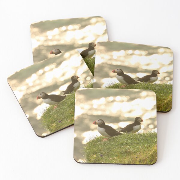 Item preview, Atlantic Puffin, Puffins in Iceland. Original Photography designed and sold by studio838.