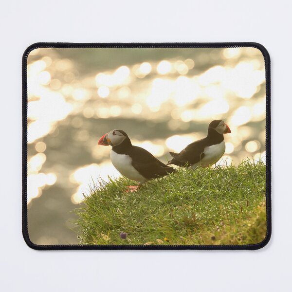 Item preview, Atlantic Puffin, Puffins in Iceland. Original Photography designed and sold by studio838.