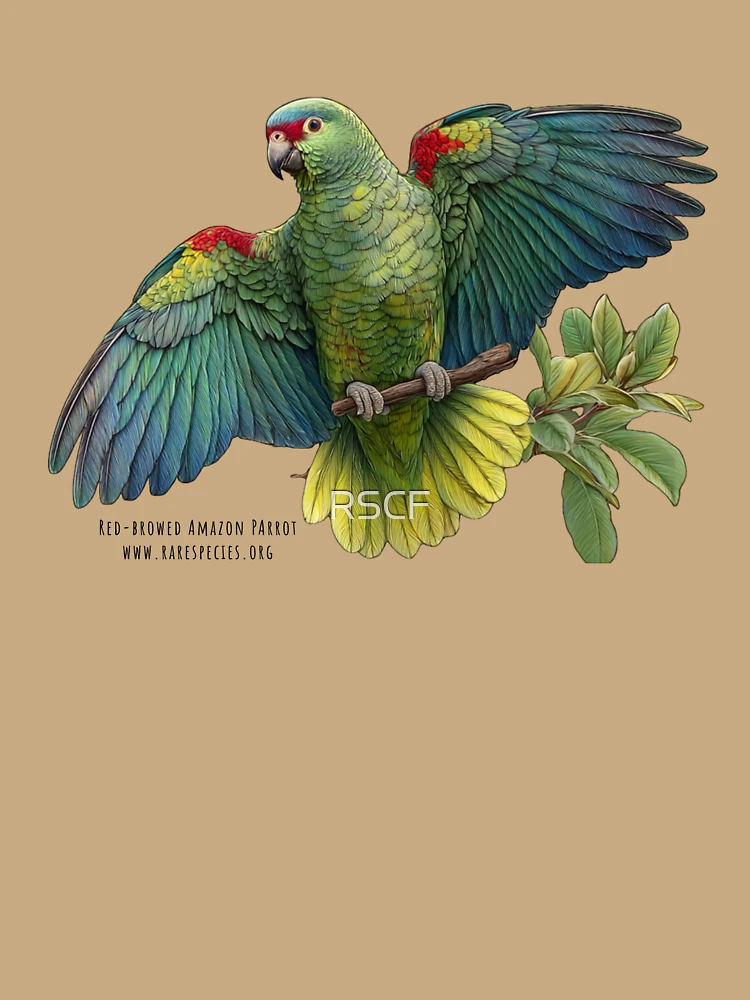 Thumbnail 6 of 6, Premium Oversized Sweatshirt, Red-browed Amazon Parrot by RSCF designed and sold by RSCF.