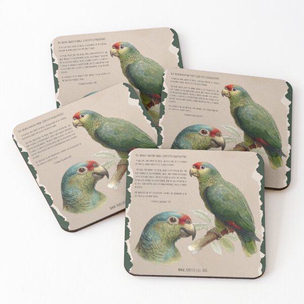 Item preview, Vintage Red-browed Amazon by RSCF designed and sold by RSCF.