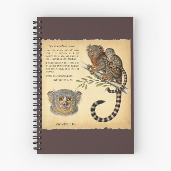 Item preview, Vintage Pygmy Marmoset Illustration by RSCF designed and sold by RSCF.