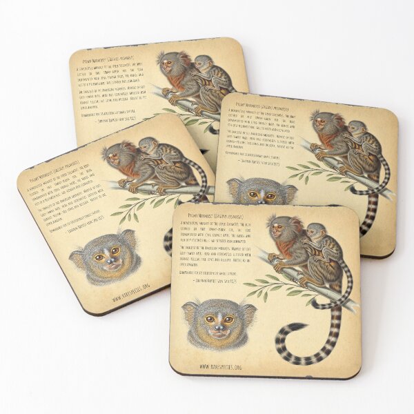 Item preview, Vintage Pygmy Marmoset Illustration by RSCF designed and sold by RSCF.