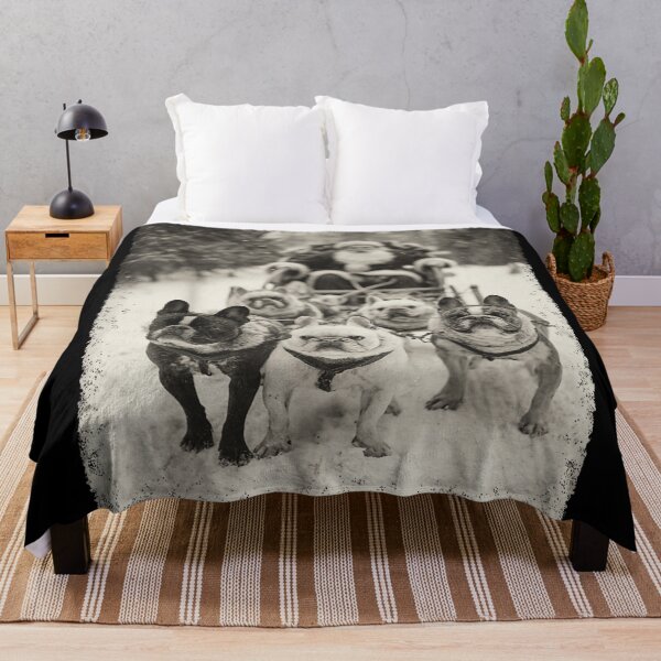 Item preview, Vintage Photo of French Bulldog Sled Dogs Pulling Santa's Sleigh designed and sold by Serene woods.