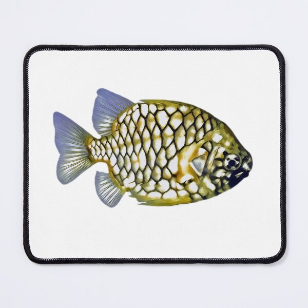 Item preview, Pineapple Fish of Western Australia designed and sold by LillyLovesWildlife.