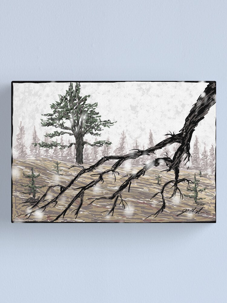 Alternate view of Snowy Washoe Meadows State Park Canvas Print