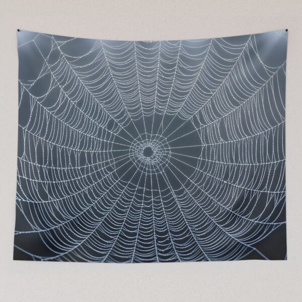 Item preview, Dew drops on a spider's web. designed and sold by MyHappyArtShop.