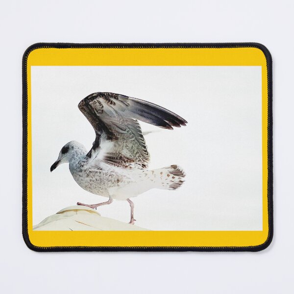Item preview, Seagull approaching designed and sold by Christine Mignon.