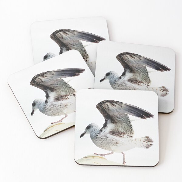 Item preview, Seagull approaching designed and sold by Christine Mignon.