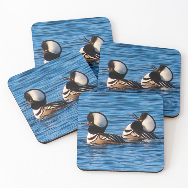 Item preview, Hooded Mergansers designed and sold by shotsfromthehip.
