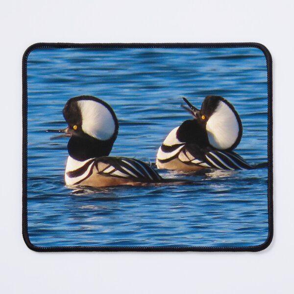 Item preview, Hooded Mergansers designed and sold by shotsfromthehip.