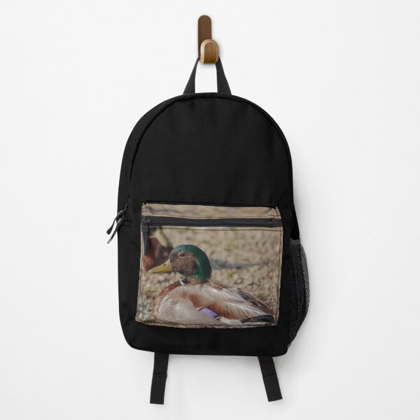 Item preview, Ducks resting on the beach designed and sold by Production Art Manon Meilleur.