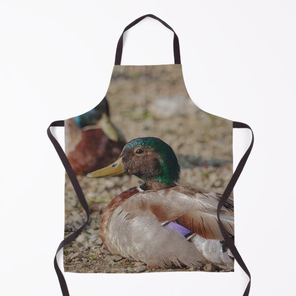 Item preview, Ducks resting on the beach designed and sold by Production Art Manon Meilleur.