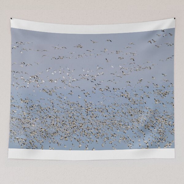 Item preview, Snow Goose Chaos designed and sold by DawsonImages.