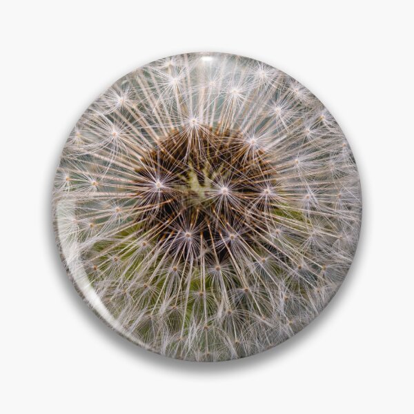 Item preview, Dandelion Seed Head – Macro Nature Photography designed and sold by RigidFascia.