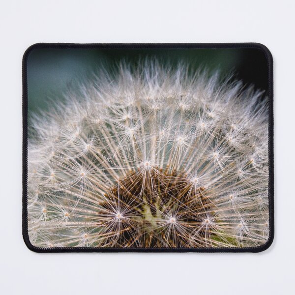 Item preview, Dandelion Seed Head – Macro Nature Photography designed and sold by Bargar Art.
