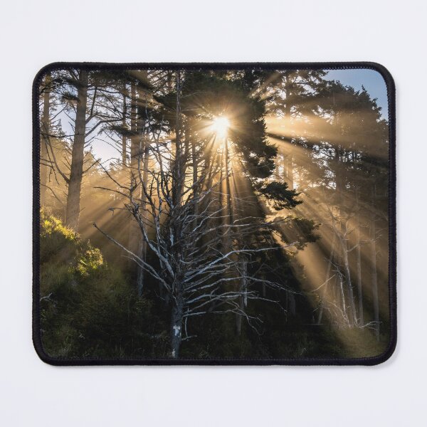 Item preview, Morning Inspiration designed and sold by DawsonImages.