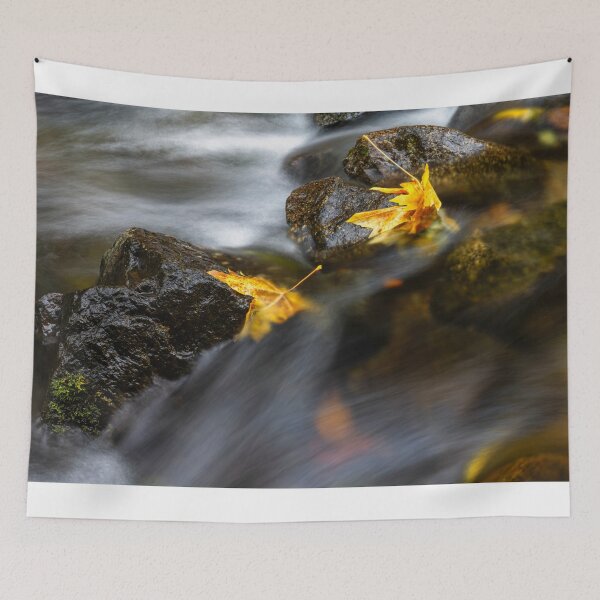 Item preview, Trapped by the Season designed and sold by DawsonImages.