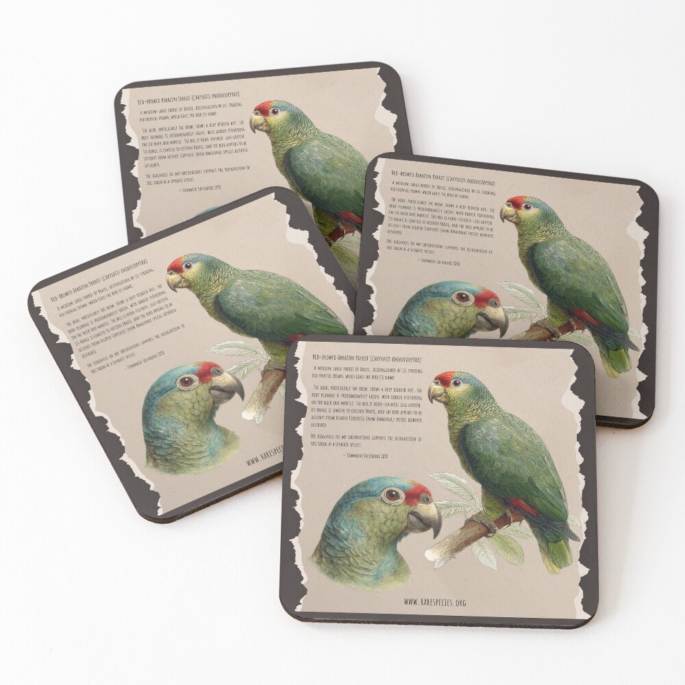 Item preview, Coasters (Set of 4) designed and sold by RSCF.
