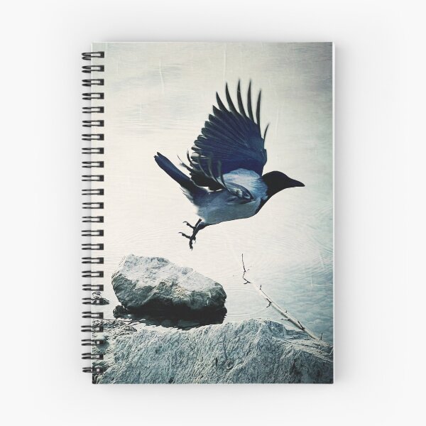 Item preview, Crow lift off designed and sold by Christine Mignon.