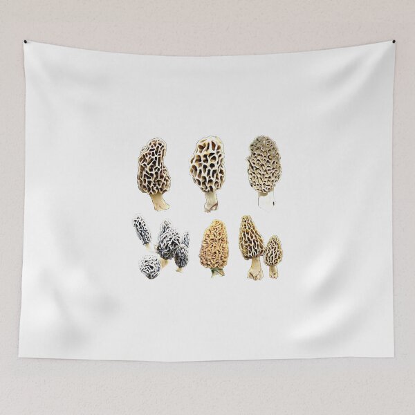 Item preview, Variety of Morel Mushrooms designed and sold by natnat7w.