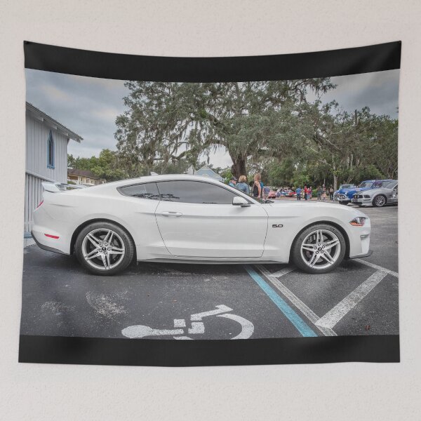 Item preview, 2019 White Ford Mustang GT 5.0 Premium X104 designed and sold by RichFrancoCars.