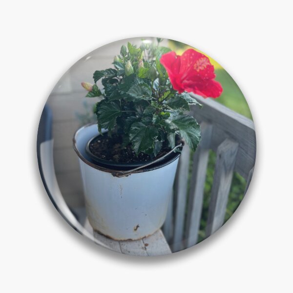 Item preview, Hibiscus in Vintage Milk Bucket | Unedited Porch Photo designed and sold by WhoaDeals.