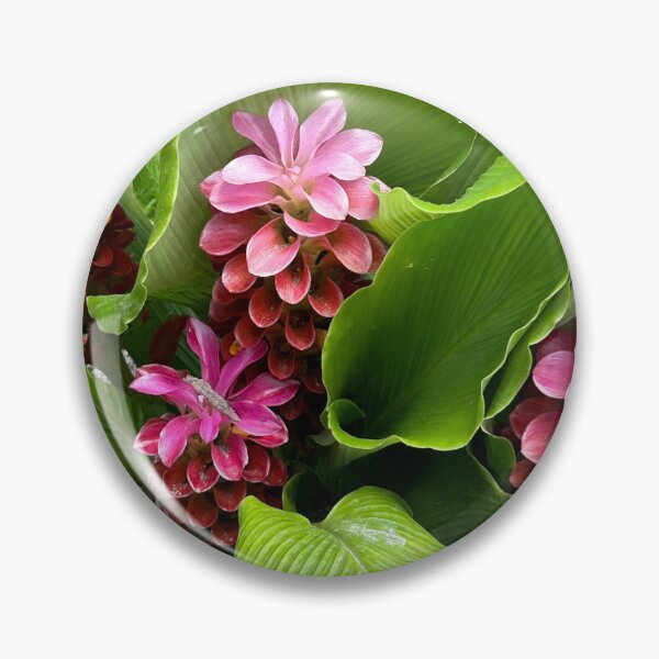 Item preview, Curcuma hybrid Chaidee Red Blooming In Savannah Georgia designed and sold by vanessaNotes.